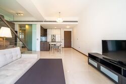 The Scotts Tower (D9), Condominium #518965991